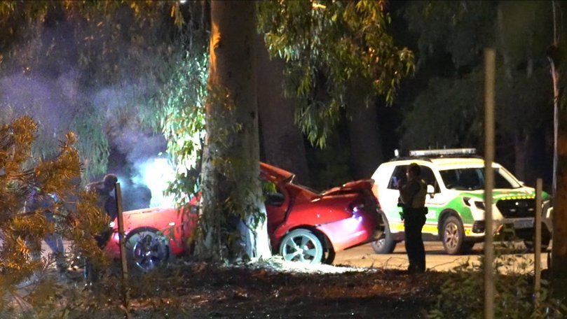 Tragedy Strikes Perth Man Killed in Horror Tree Crash - Second Image