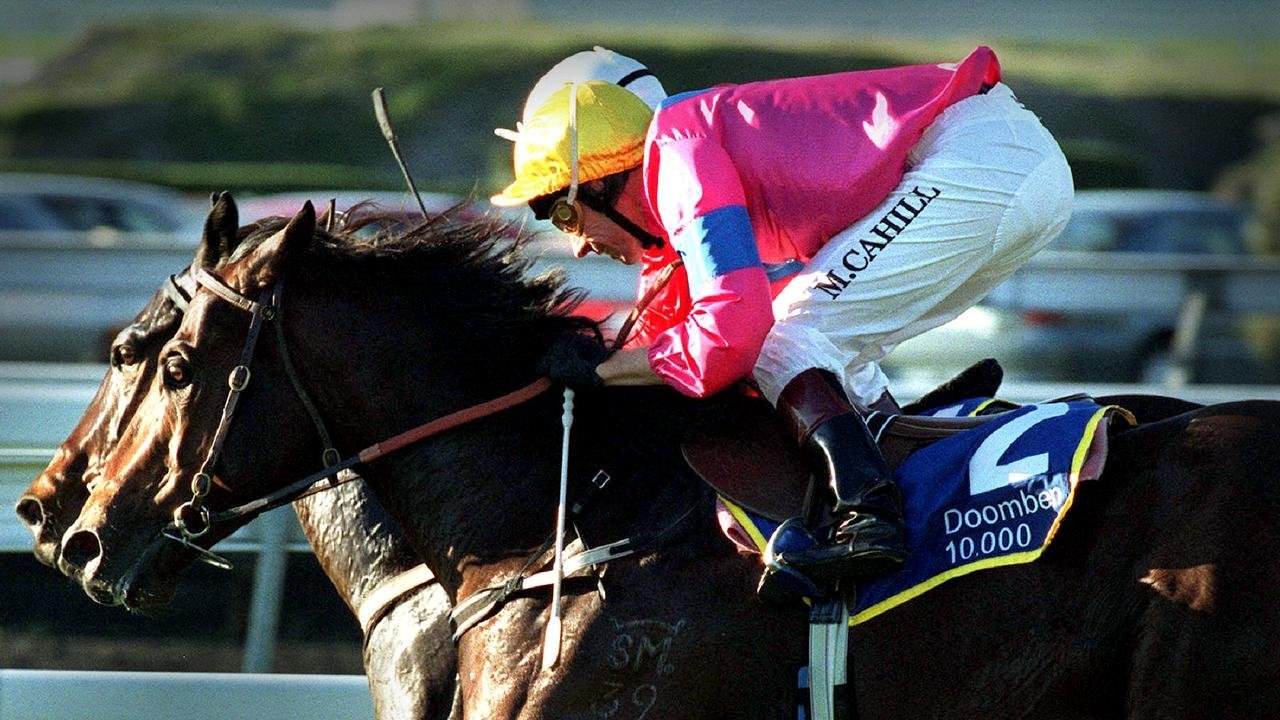 Falvelon, Legendary Sprinter, Dead at 29 - Second Image