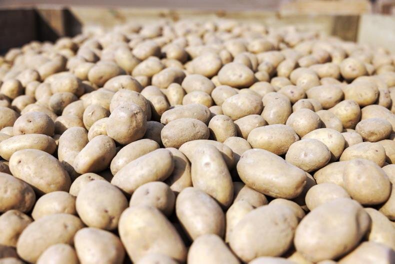 Company Fined $360,000 After Employee’s Arm Mutilated
