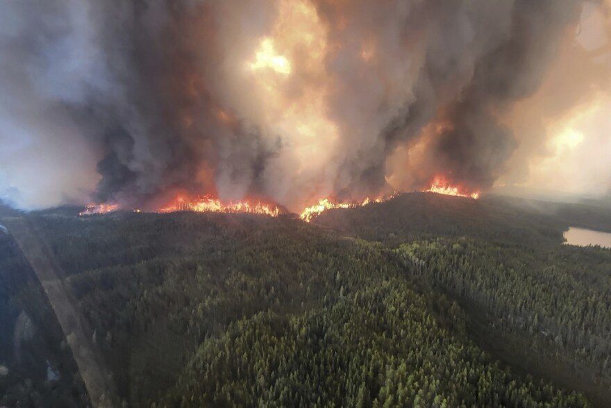 Sydney Chokes on Smoke as Fires Rage Out of Control - Second Image