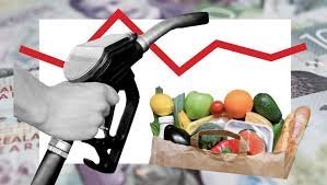 Fuel Crisis Brings Farmers to Brink of Disaster - Second Image