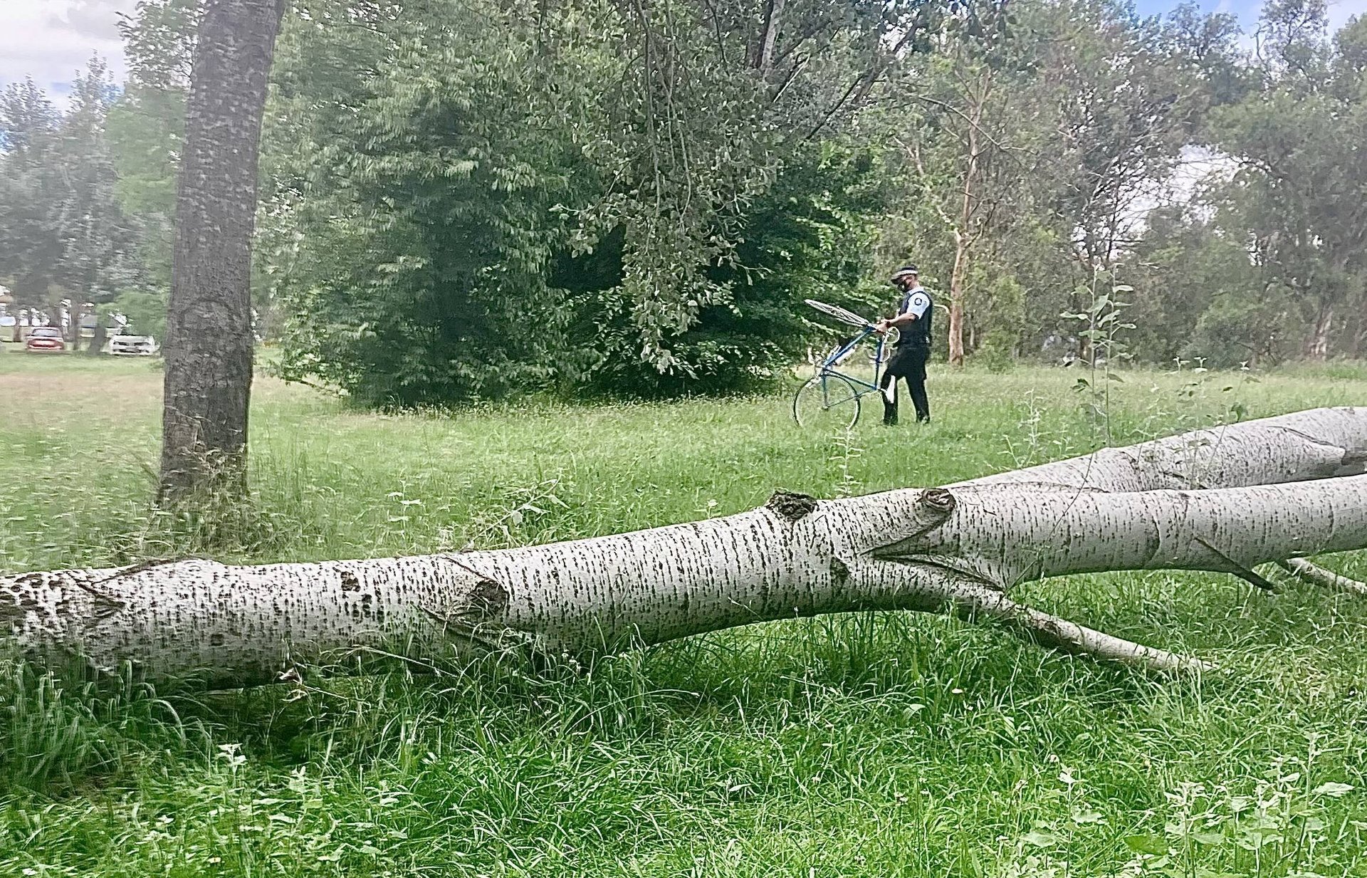 Cyclist Killed by Deadly Tree Branch on Canberra Bike Path in Tragic Crash - Second Image