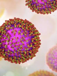 Measles Outbreak Hits Sydney After Traveler Brings Back Disease from Japan - Second Image