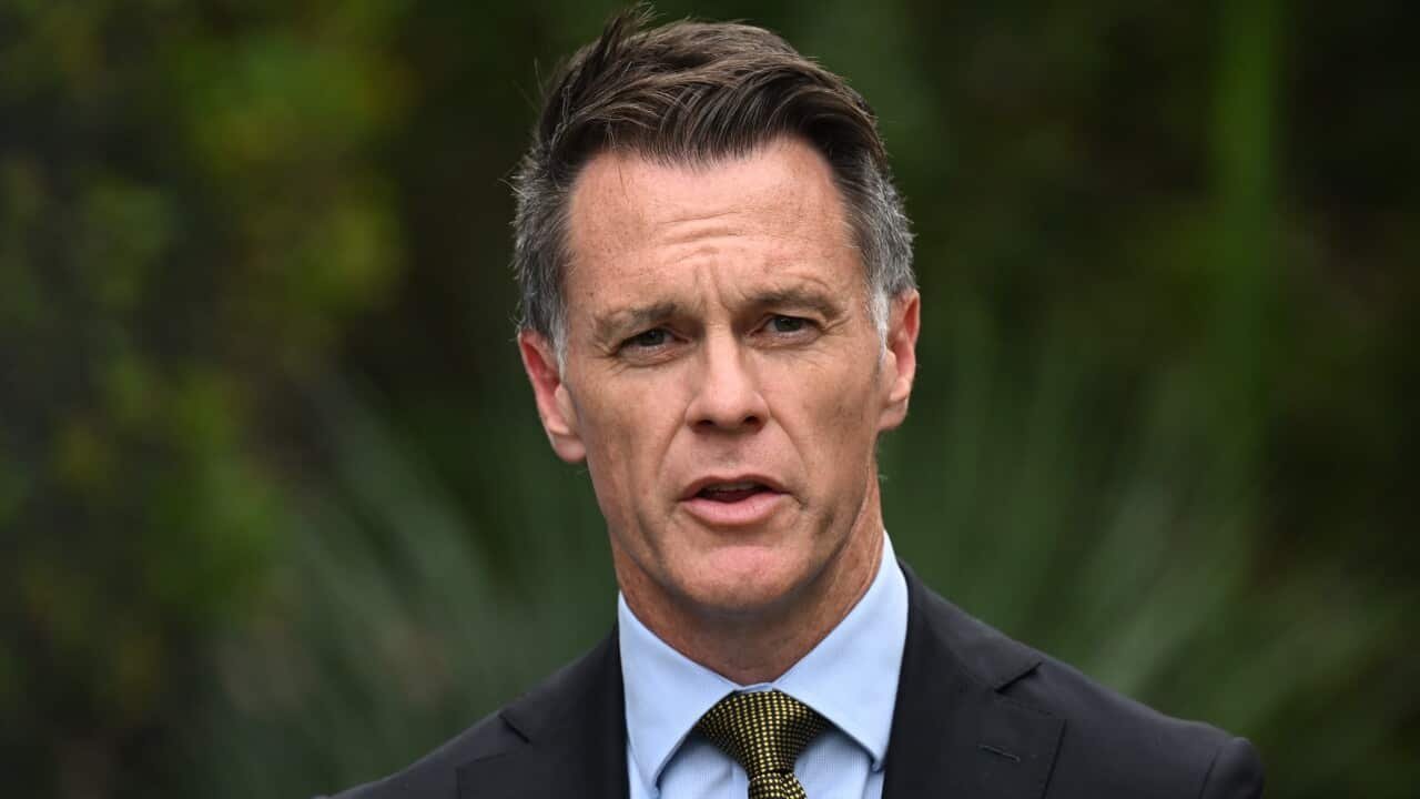 Court Slams NSW Government's Ban on "Hateful" Slogans as Unconstitutional - Second Image