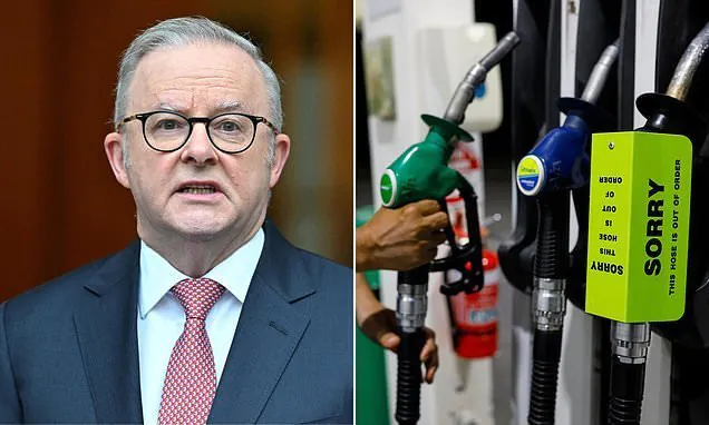 Albanese Secures Emergency Fuel Deal Amid Crisis - Second Image