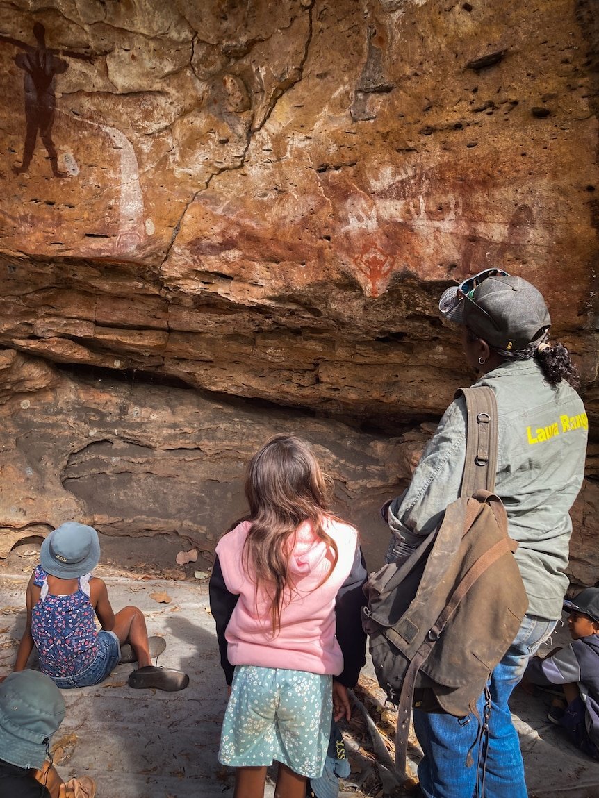 Ancient Aboriginal Engravings Uncovered in Biniirr National Park Discovery - Second Image