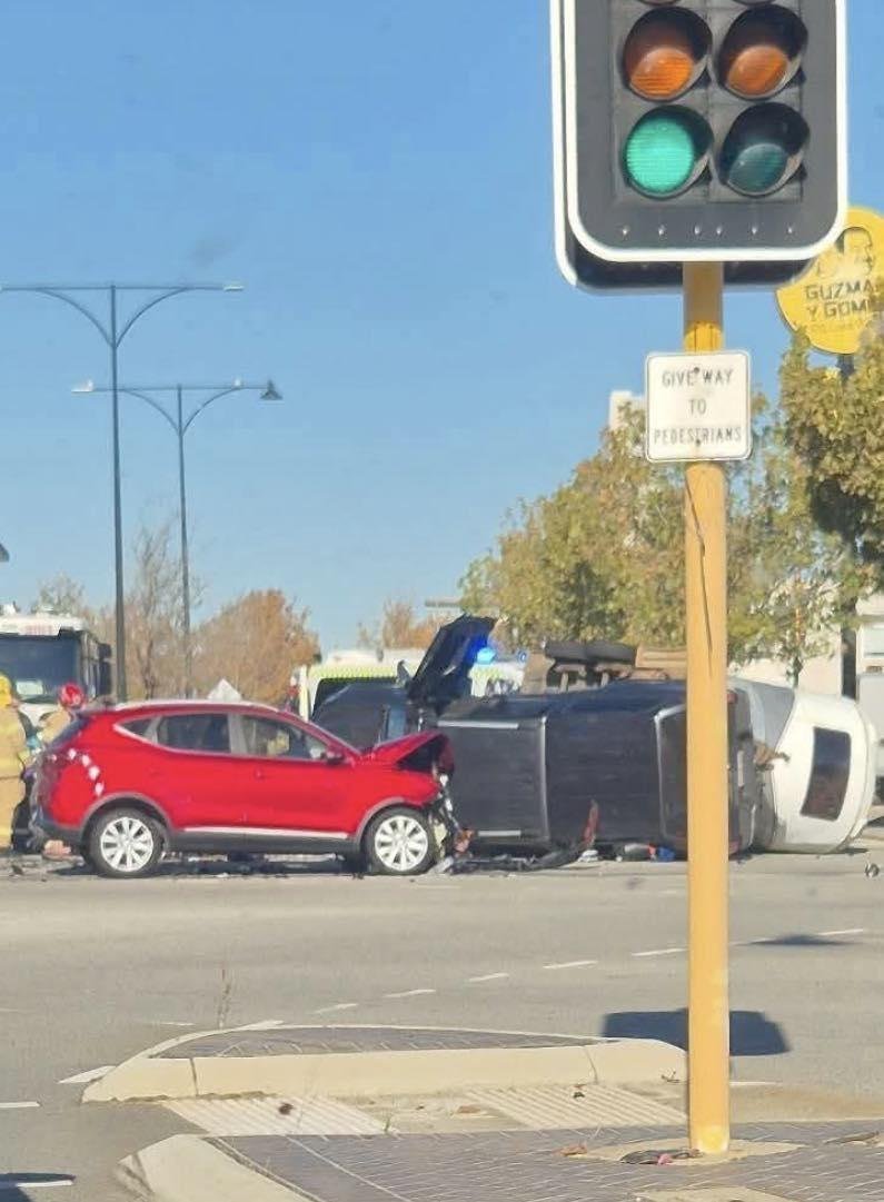 Horses in Horror Smash Multiple Animals Injured - Second Image