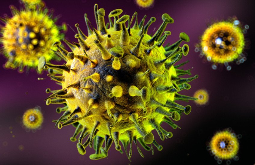 Deadly Hantavirus Outbreak Sparks Panic on Australian Cruise Ship - Second Image