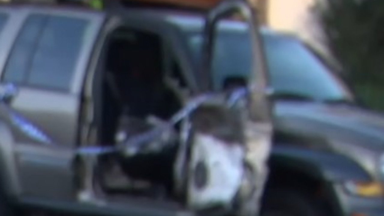 Woman Crushed to Death at Sydney Worksite in Devastating Accident - Second Image