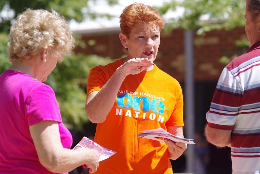 One Nation Wins Historic Seat in NSW Election Upset - Second Image