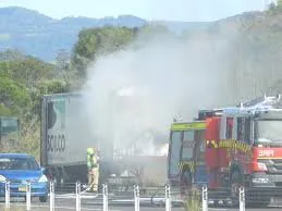 Hero Driver Battles Cattle Truck Inferno on NSW North Coast - Second Image