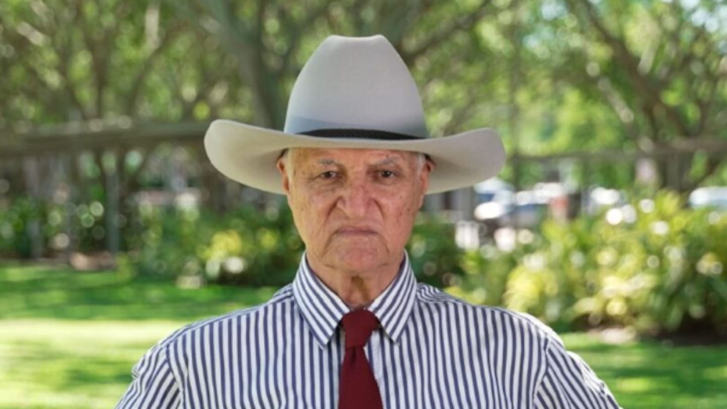 Queensland's Deadly Shark Crisis Second Fatal Attack in Two Weeks - Second Image