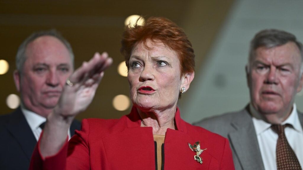 Hanson Cut Off in Senate as Immigration Cap Debate Explodes