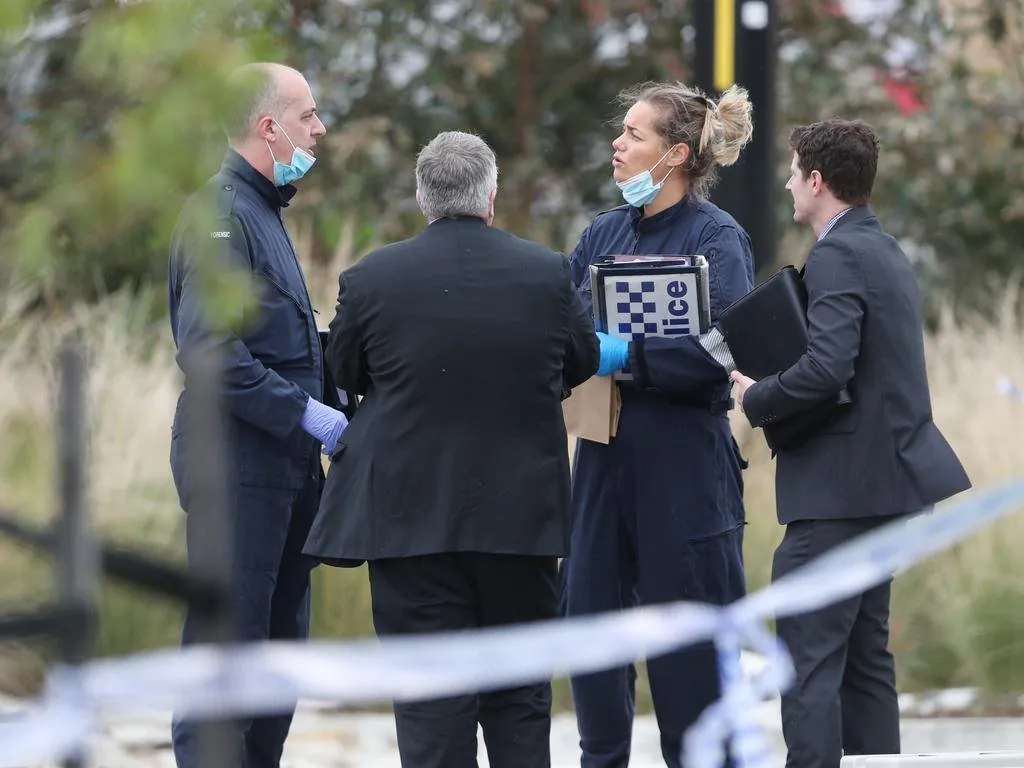 Pregnant Woman Brutally Attacked by Axe-Wielding Thugs in Melbourne Invasion - Second Image