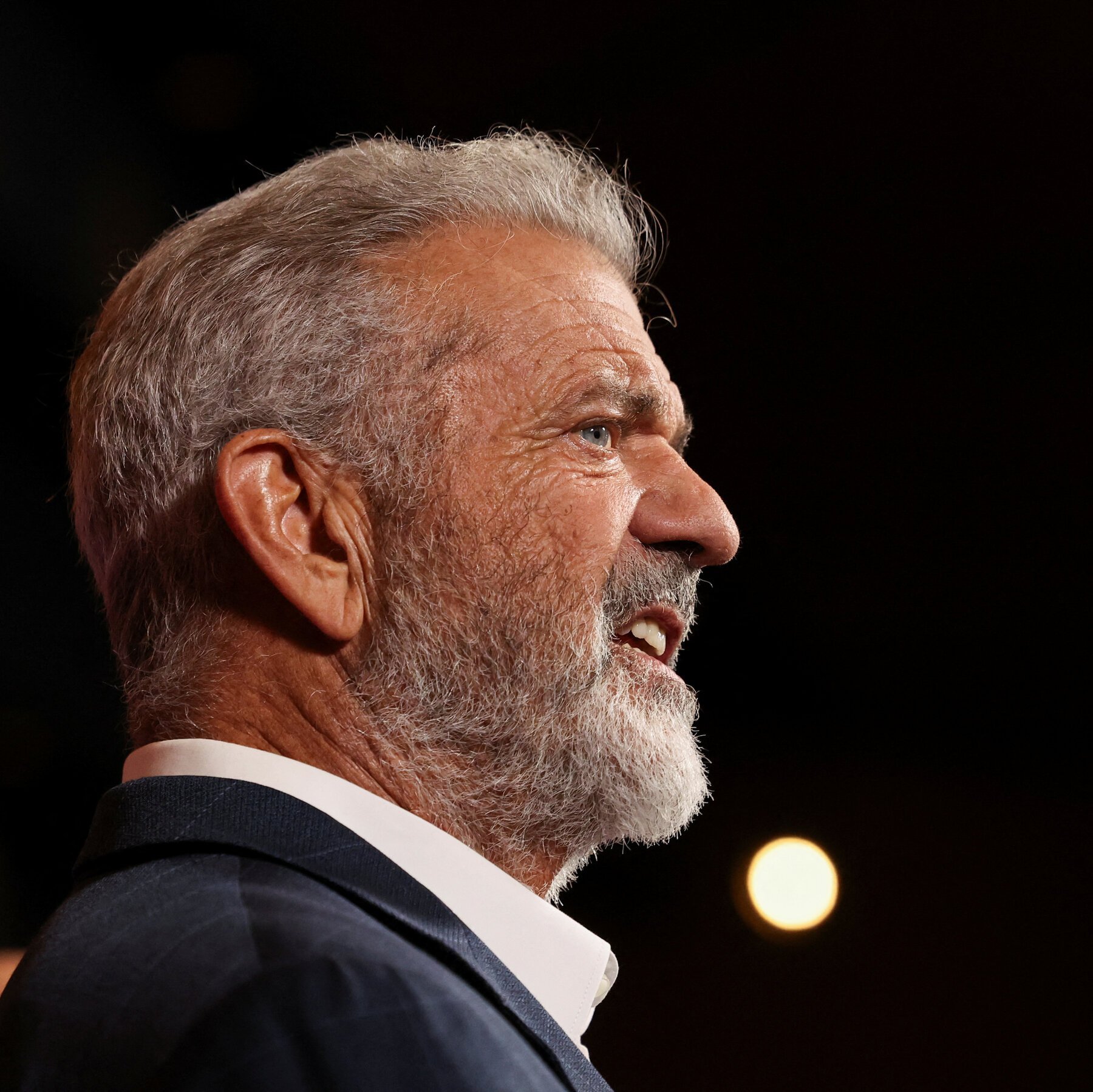 Mel Gibson's Secret Italian Fling Erupts in Rome - Second Image