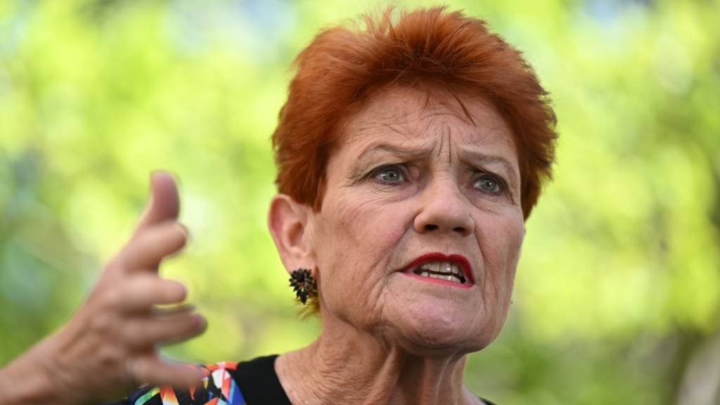 Fijian Migrant Slams Racism Claims, Hails Hanson as “Fantastic”