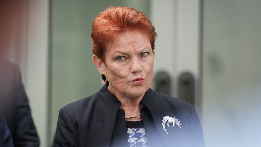 Fijian Migrant Slams Racism Claims, Hails Hanson as "Fantastic" - Second Image