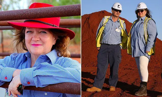 Rinehart Slams Albanese's Tax Bombshell as Devastating for Australia - Second Image