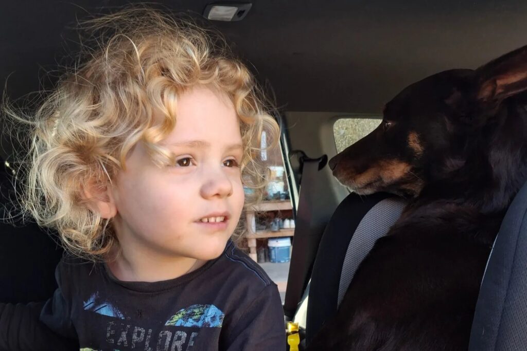 Gus Lamont’s Grandparent Named as Shock New Suspect