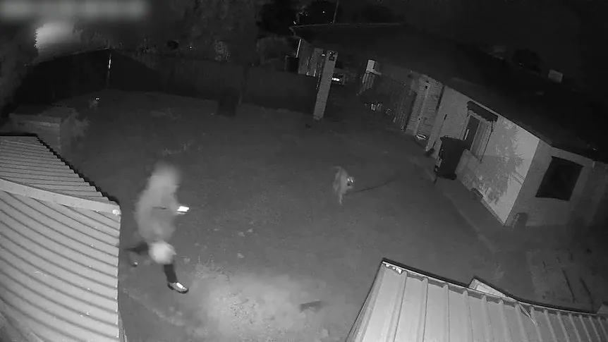 Teen's Mysterious Death Sparks Desperate Manhunt in Temora - Second Image