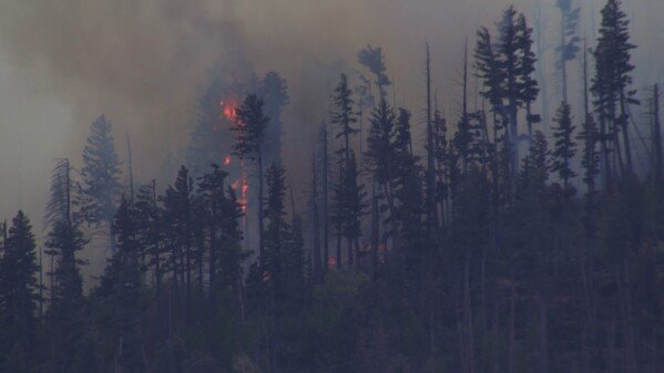 Four Lives Lost in New Mexico Plane Crash Inferno - Second Image