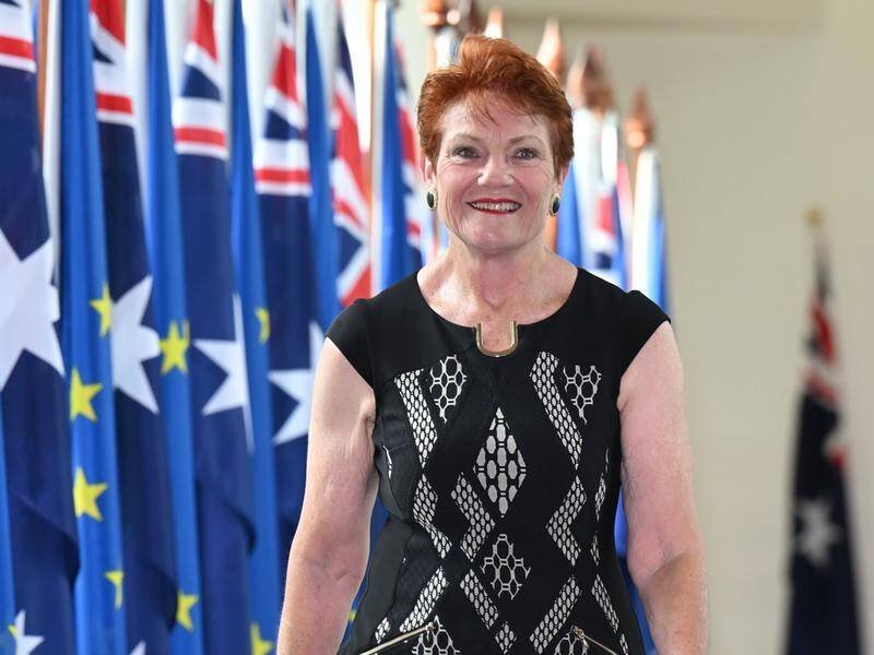 Hanson's Hands-Off Horror One Nation Grabs Seven SA Seats - Second Image