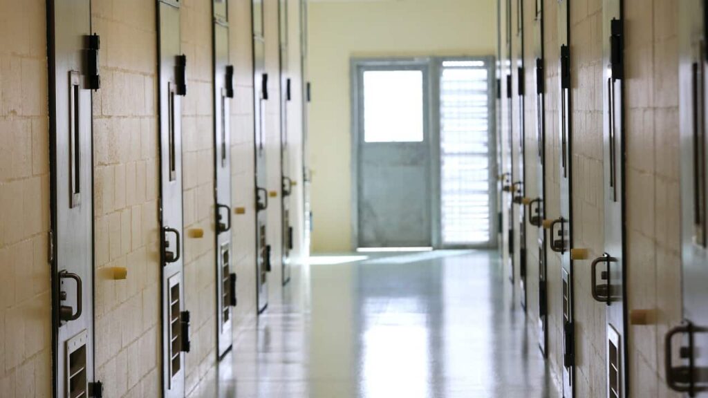 Youth Detention Centre Transformed into Prison Farm in Shocking Tassie Plan