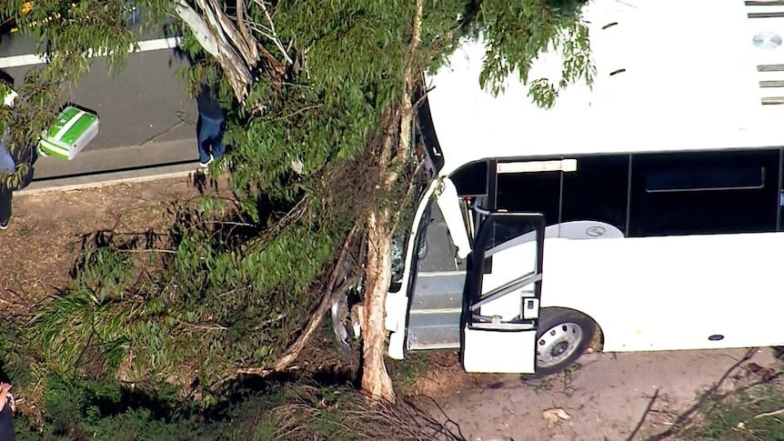 Sydney School Bus Crash Leaves Driver Fighting for Life