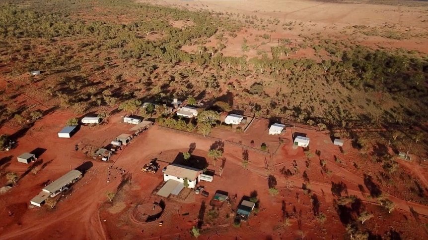 NT Government OKs Slaughter of 20,000 Native Birds - Second Image
