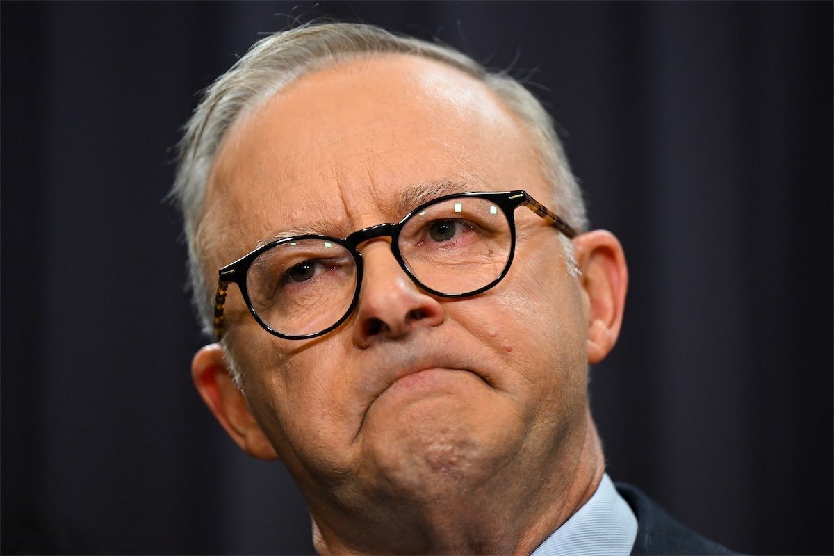  Terror, War, and Economic Shocks Hijack Albanese's Second Term - Second Image