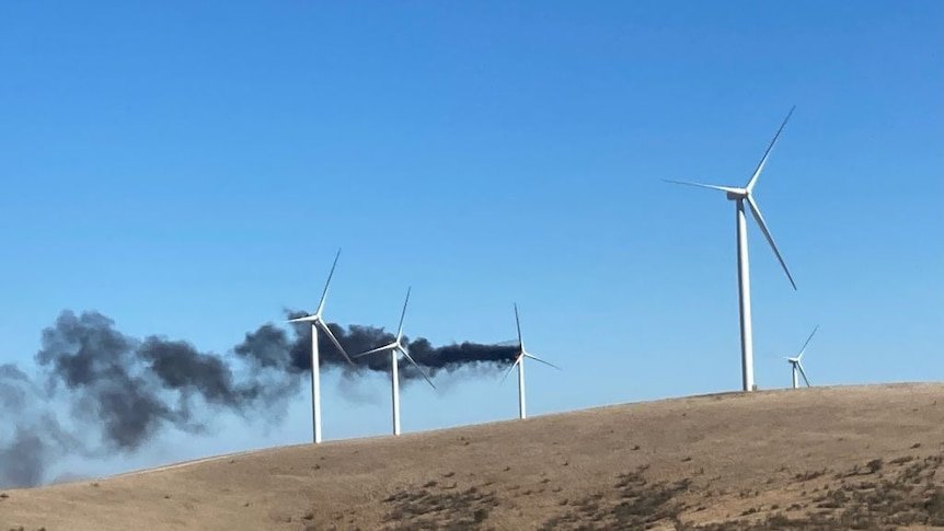 Australia Backs UN Climate Ruling Despite Pacific Fury Over Fossil Fuels - Second Image
