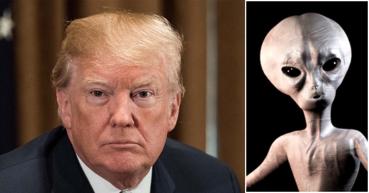Trump Unveils "Alien" Website to Track Down Undocumented Immigrants - Second Image