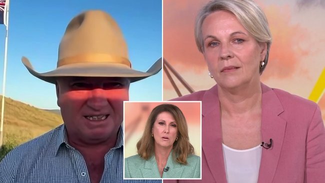 One Nation Secures Historic Win, Sparking Coalition Collapse Fears - Second Image