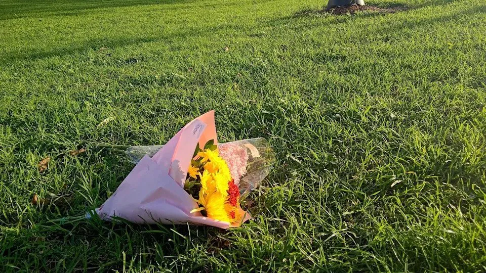 Father Bashed to Death Near Melbourne School in Front of Hundreds - Second Image