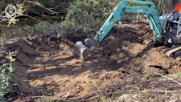Body of Missing Sydney Woman Found in Shallow Grave