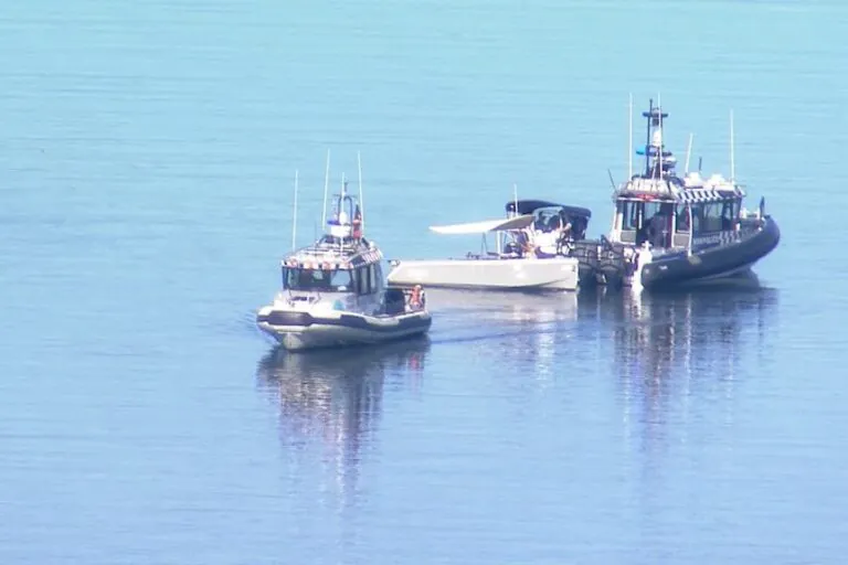 Dad and Toddler Found Dead in Sydney Harbour Tragedy