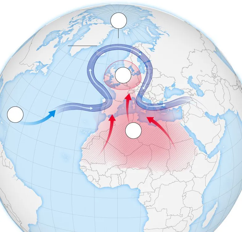 EUROPE SIZZLES Record-Breaking Heatwave Kills Dozens