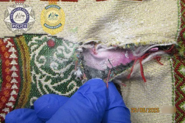 Thai Airline Worker Caught Smuggling $500k Worth of Heroin into Melbourne - Second Image