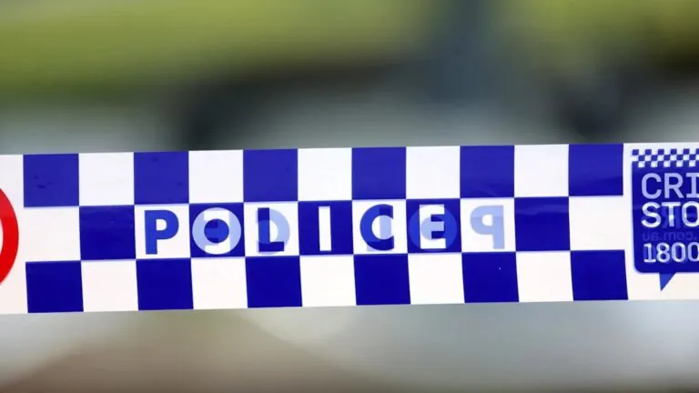 Sydney Park Loan Meeting Ends in Bloody Murder