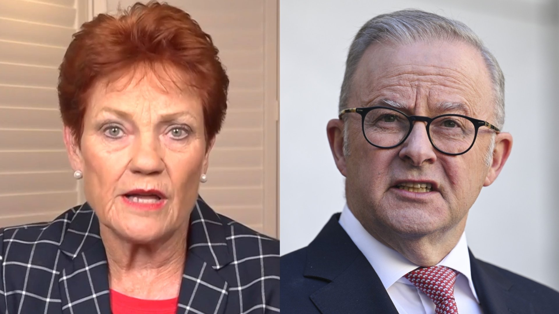 Albo Slams One Nation as Party of the Wealthy