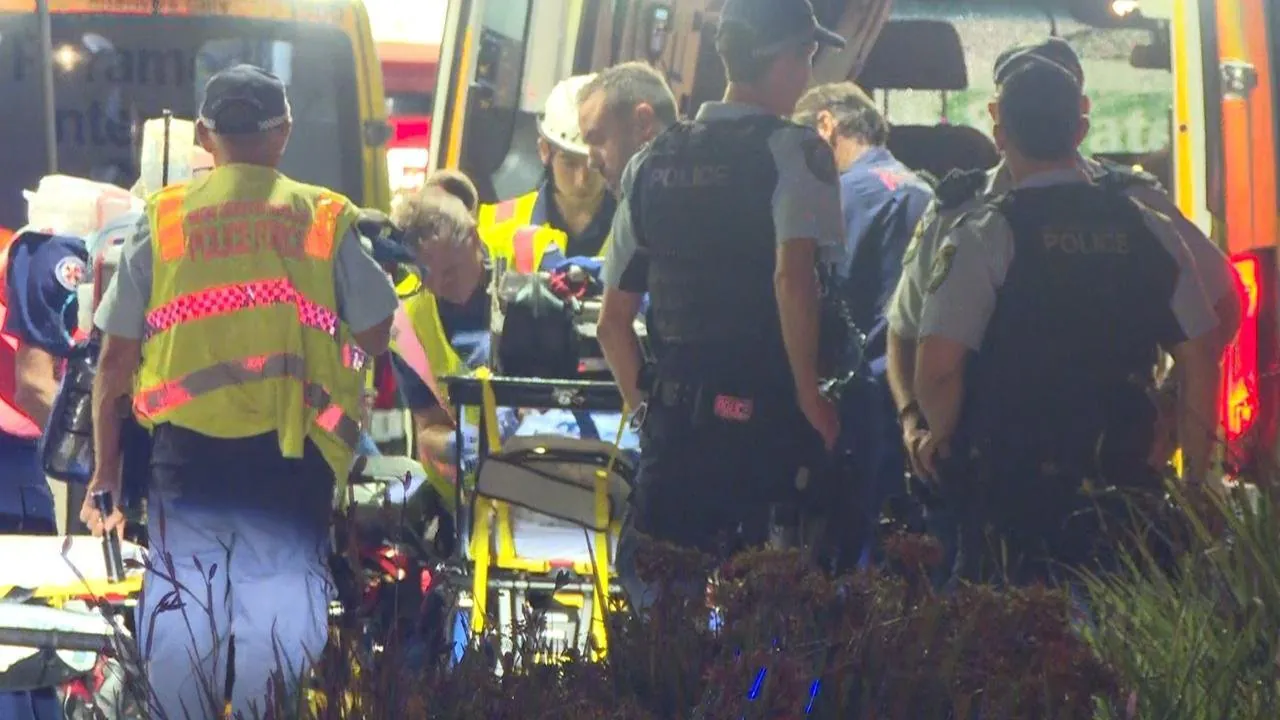 Sydney Train Horror Teen Plummets onto Tracks in Morning Commute - Second Image