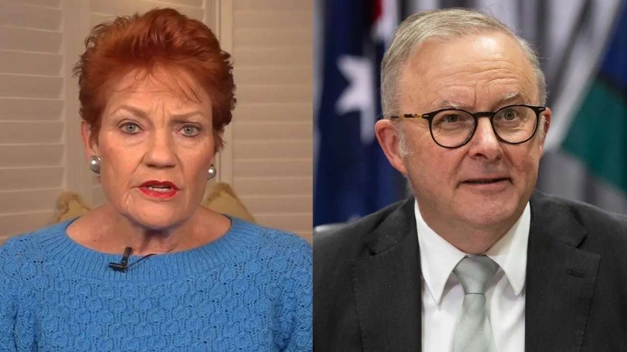 Albo Slams One Nation as Party of the Wealthy - Second Image