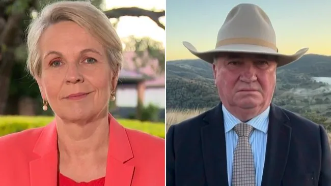 One Nation's Stunning Surge to 31% Shocks Major Parties - Second Image