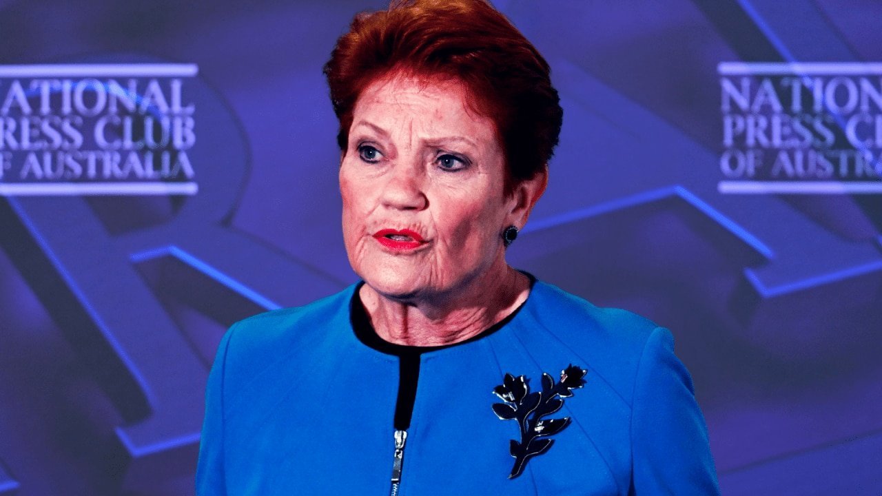 Hanson Vows to Shut Down SBS in Fiery Tirade