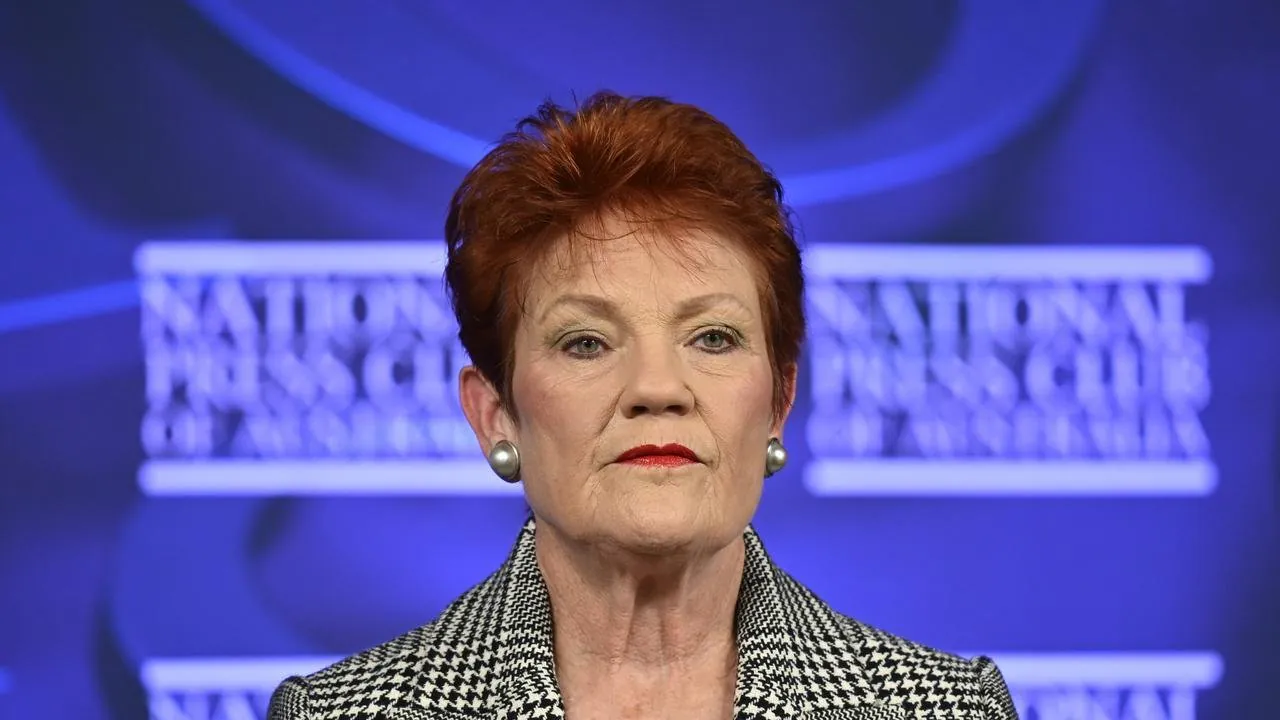 Hanson Unleashes Fury Vows to Shut Down SBS in Fiery Tirade - Second Image