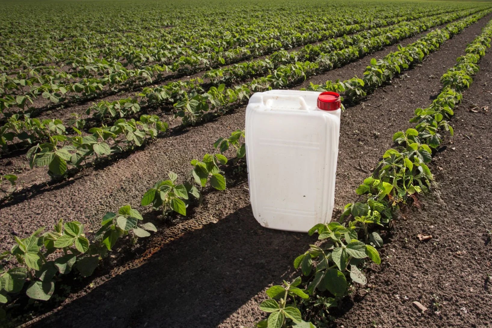 Deadly Herbicide Banned Overseas Still Used in Australia - Second Image
