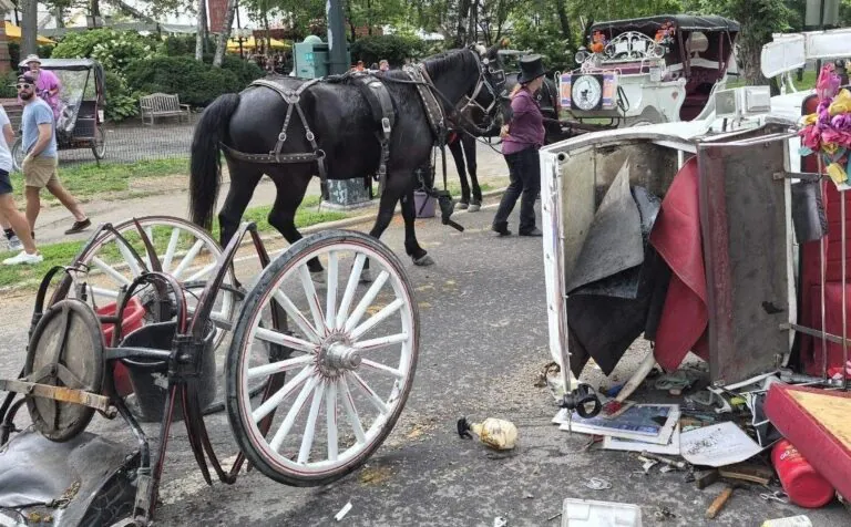 Teen Killed By Horse Carriage