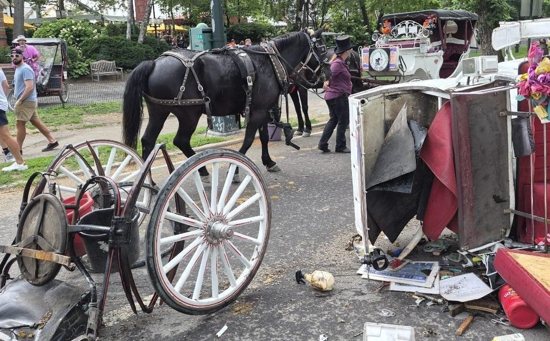 Teen Killed By Horse Carriage