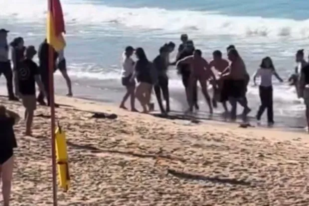 Shark Attack Horror Grips Coogee Beach After Woman's Savage Mauling - Second Image