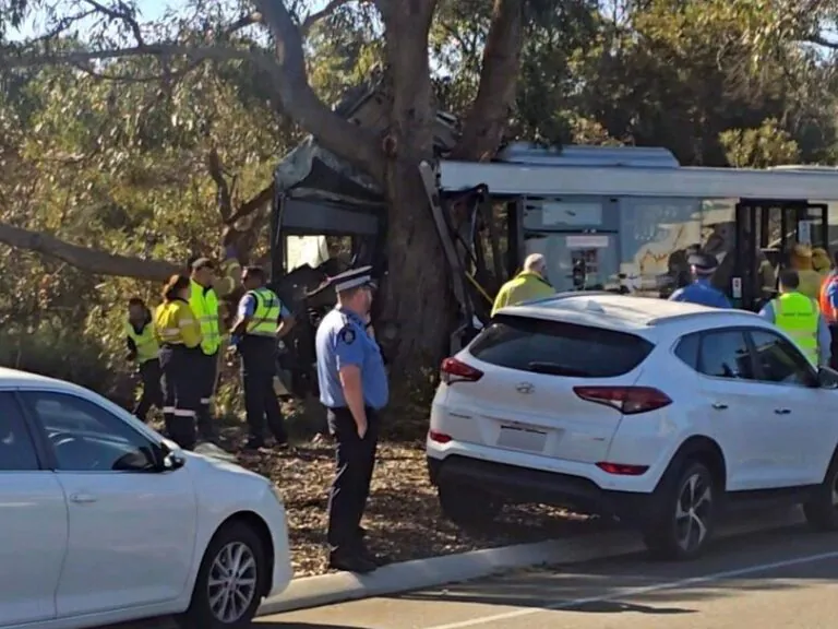 Bus Slams into Tree, Multiple Critical Injuries
